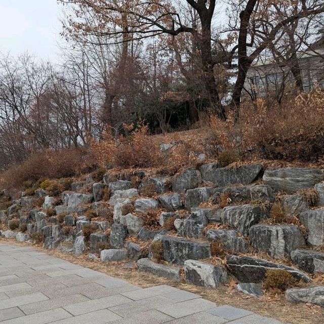 Ewha Womans University & Shopping Street (梨花女子大學與購物街)