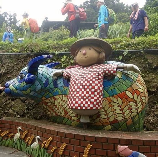 竹子湖ㄧ日遊