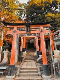 Fushimi Inari "The Thousand Gates"