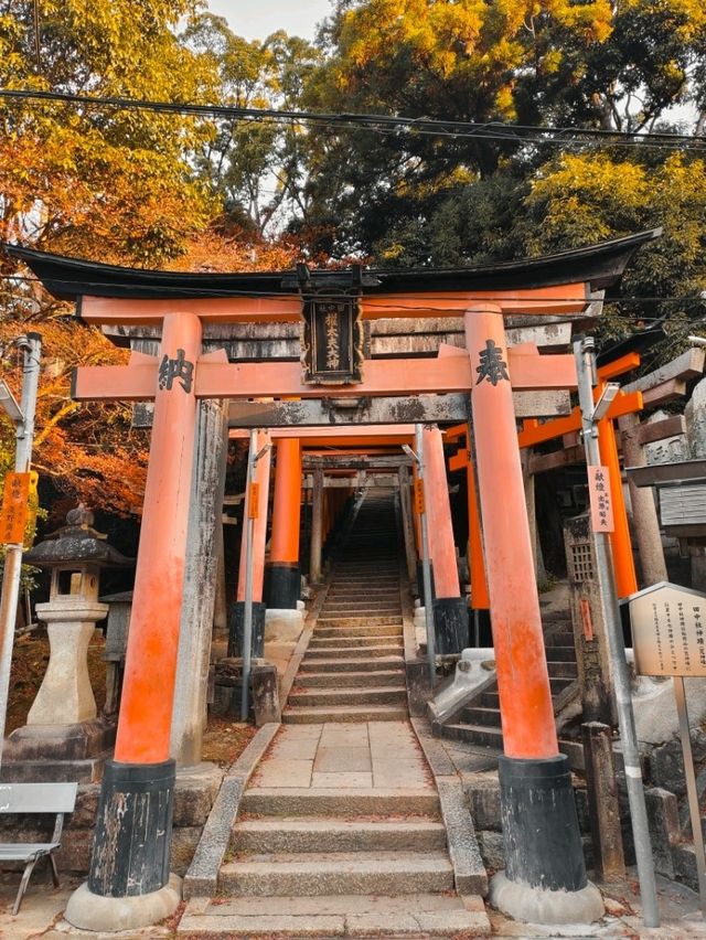 Fushimi Inari "The Thousand Gates"