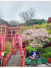 วิธีเดินทาง : Fukuoka -> Yutoku Inari Shrine