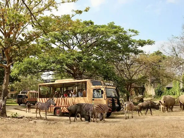 Bali Must-Visit Zoo for Families with Kids
