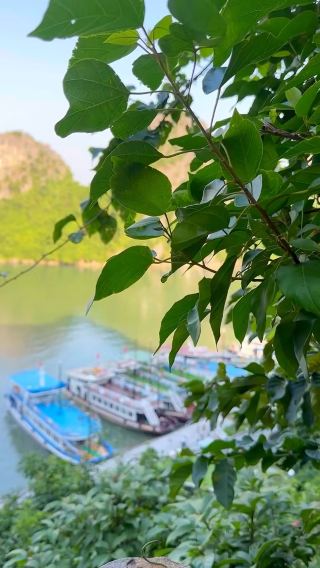 HALONG BAY IN VIETNAM 🇻🇳⛰️