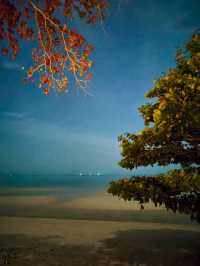 𝐀𝐧𝐝𝐚𝐳 𝐏𝐚𝐭𝐭𝐚𝐲𝐚 รีสอร์ทหรูริมทะเล🌊🏖️