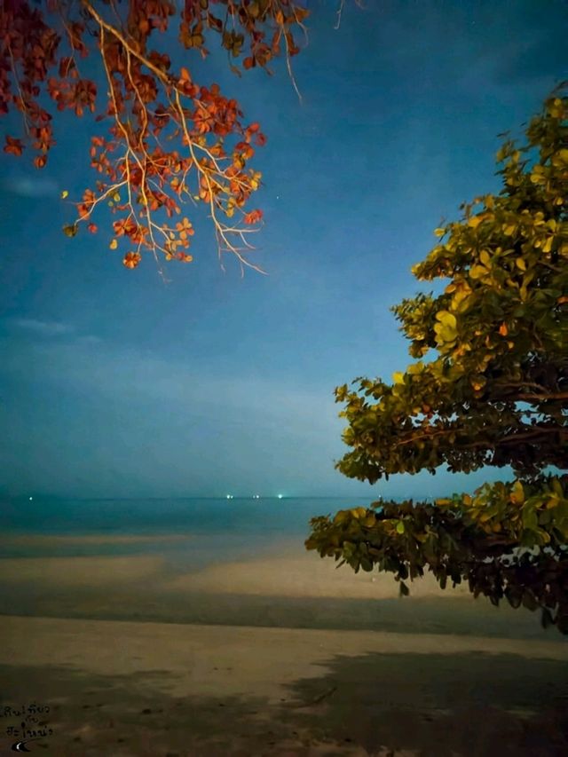 𝐀𝐧𝐝𝐚𝐳 𝐏𝐚𝐭𝐭𝐚𝐲𝐚 รีสอร์ทหรูริมทะเล🌊🏖️