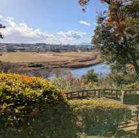 Tamagawadai Park (多摩川台公園)