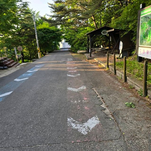 Gayasan National Park