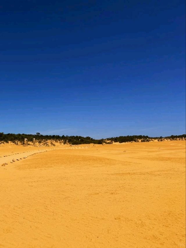 The Pinnacles and Pink Lake: Western Australia’s Natural Wonders