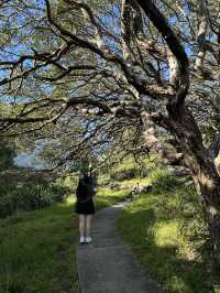 Sydney’s Best-Kept Secret: Discover Parsley Bay Reserve