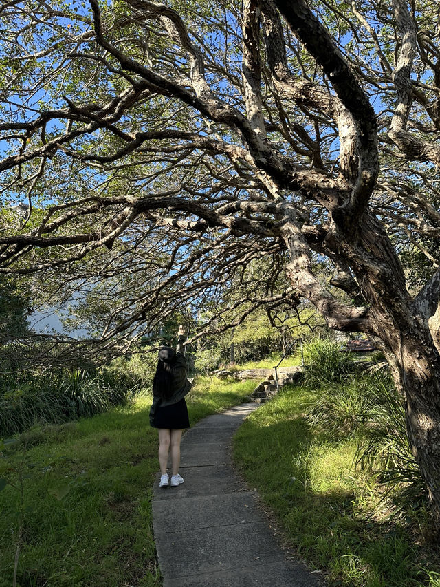 Sydney’s Best-Kept Secret: Discover Parsley Bay Reserve