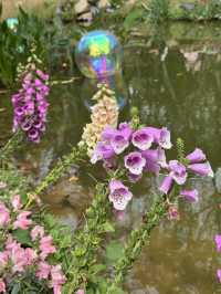 🫧🪻💐莫奈花園🌷🌺 🫧油畫一樣咁靚🖼️
