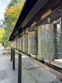 Beautiful and peaceful old city of Kyoto 