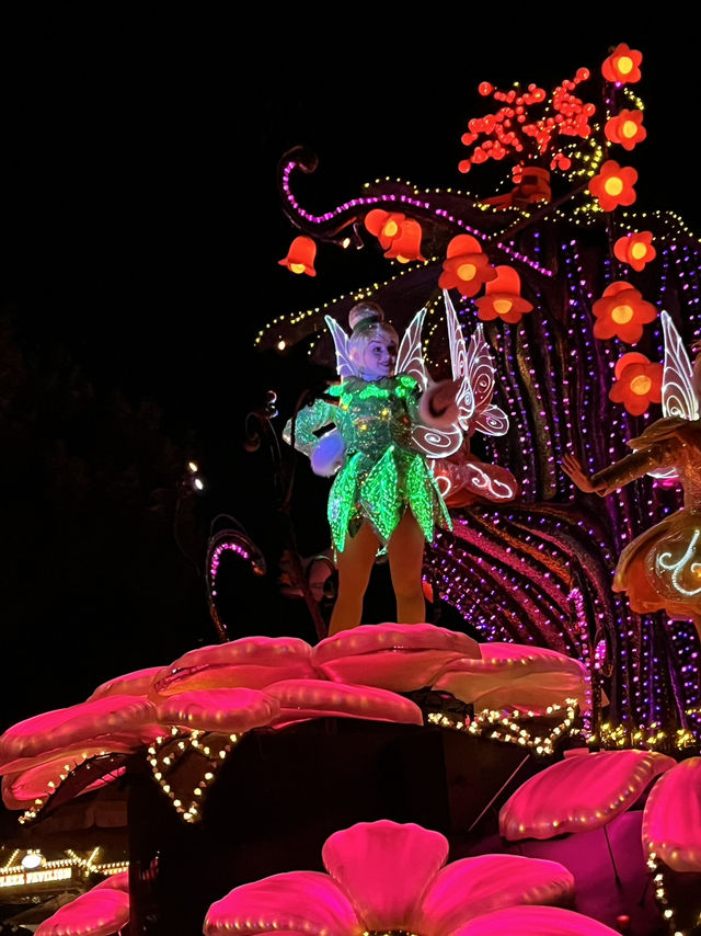 【ディズニー】ディズニーランドのナイトパレード！