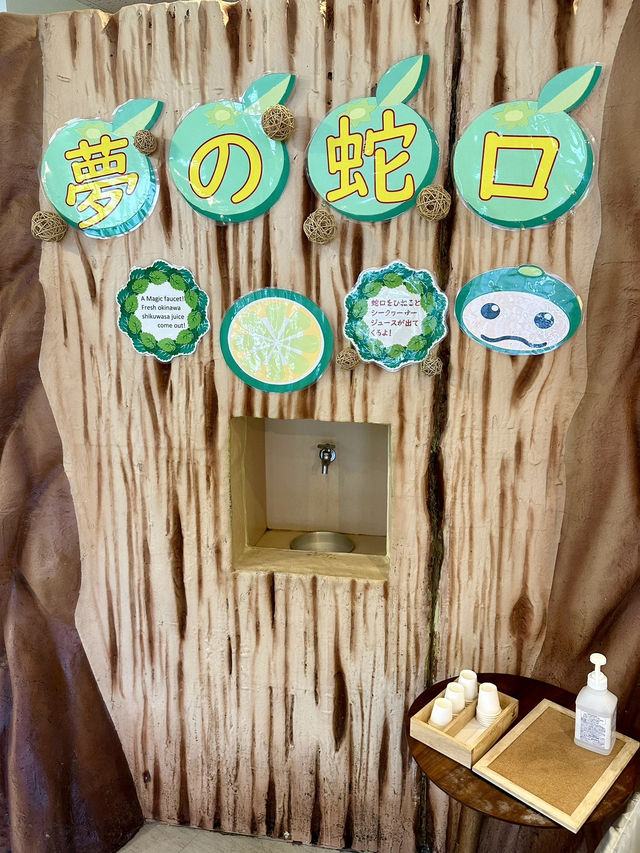 【大宜味シークヮーサーパーク】