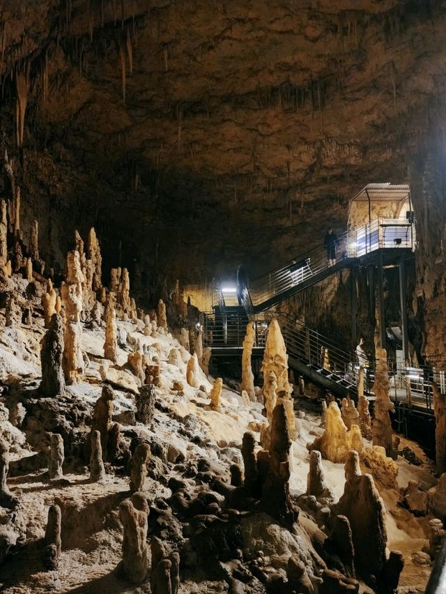 沖繩文化王國🏞好壯觀的場景 人生第一次見