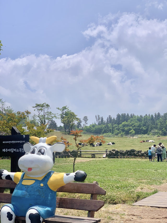 🐄제주 아침미소목장, 카이막이 있는 카페까지!
