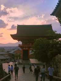 🏯이른해질녘에 가면 더이쁜 교토 필수코스 기요미즈데라