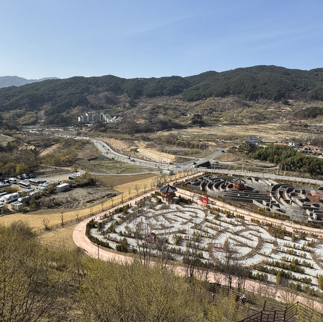 구례 산수유마을 봄꽃 여행