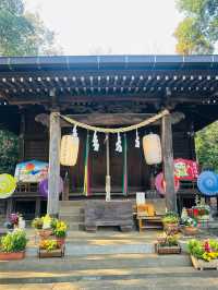 【新座】御朱印が綺麗で可愛い✨穴場神社‼️