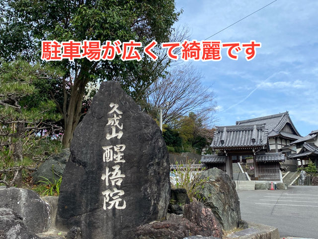 知多の旅　美しい木蓮が見ごろの醒悟院