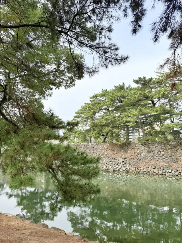 일본 여행지 추천!