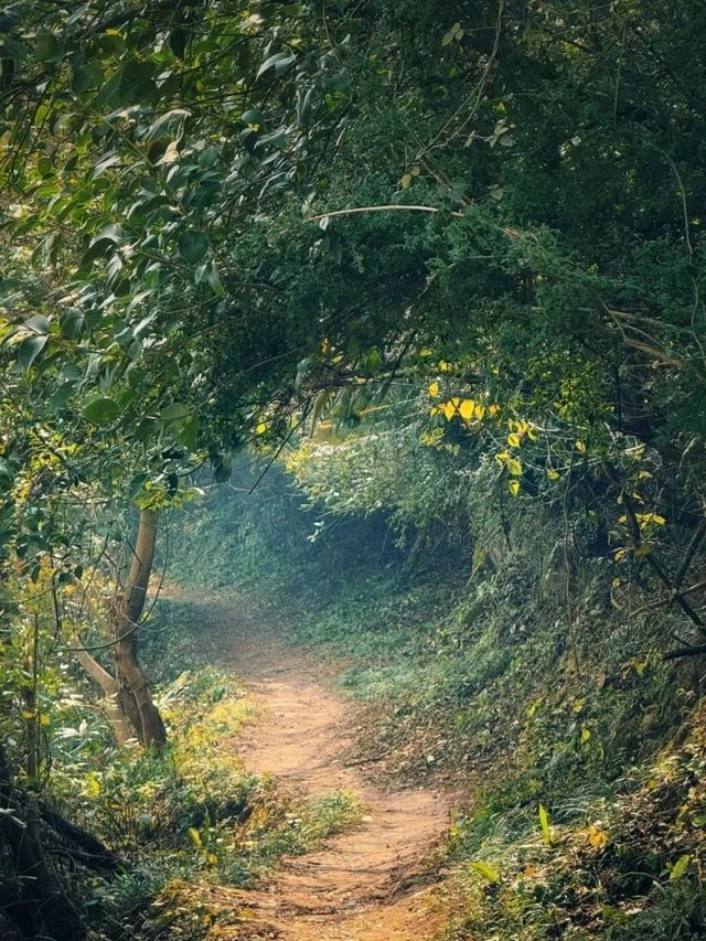 A scenic trek up to a hidden Temple