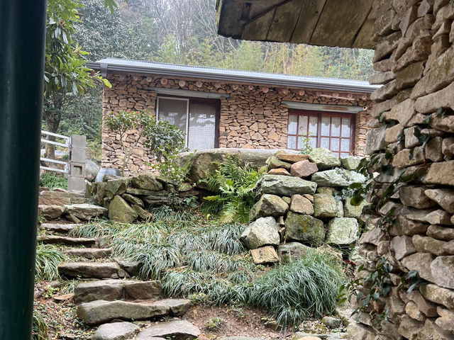 땅끝섬 보길도 섬안에 작은 숲속감성카페 섬비웰💚