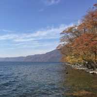 白神山地 (Shirakami Sanchi, Aomori & Akita) – 原生林が広がる世界遺産の森