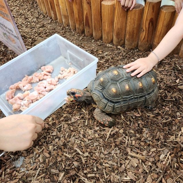 여주 가볼만한 곳 '여주 곤충 박물관'