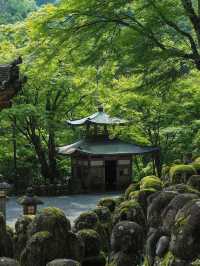 🍃 日本・京都【愛宕念仏寺】| 千体羅漢の不思議な世界