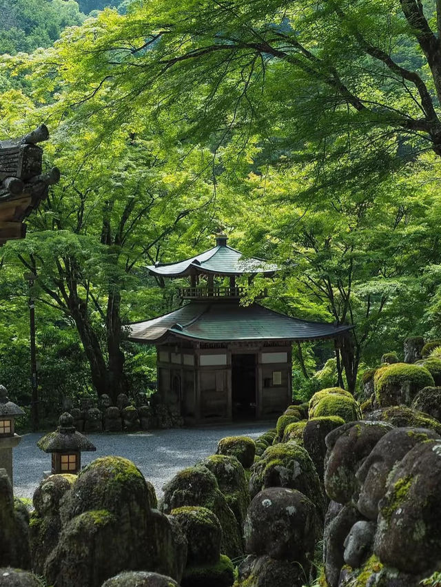 🍃 日本・京都【愛宕念仏寺】| 千体羅漢の不思議な世界
