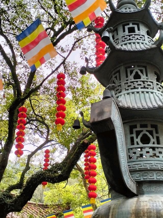 Tea Trails and Temple Tranquility: My Hangzhou Discovery
