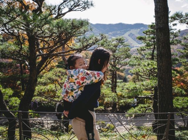 가을엔 꼭 가야하는 화담숲!!!
