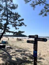西海岸の3大 海水浴場 🏊🏻‍♀️🚣🏻‍♀️🏄🏻‍♂️