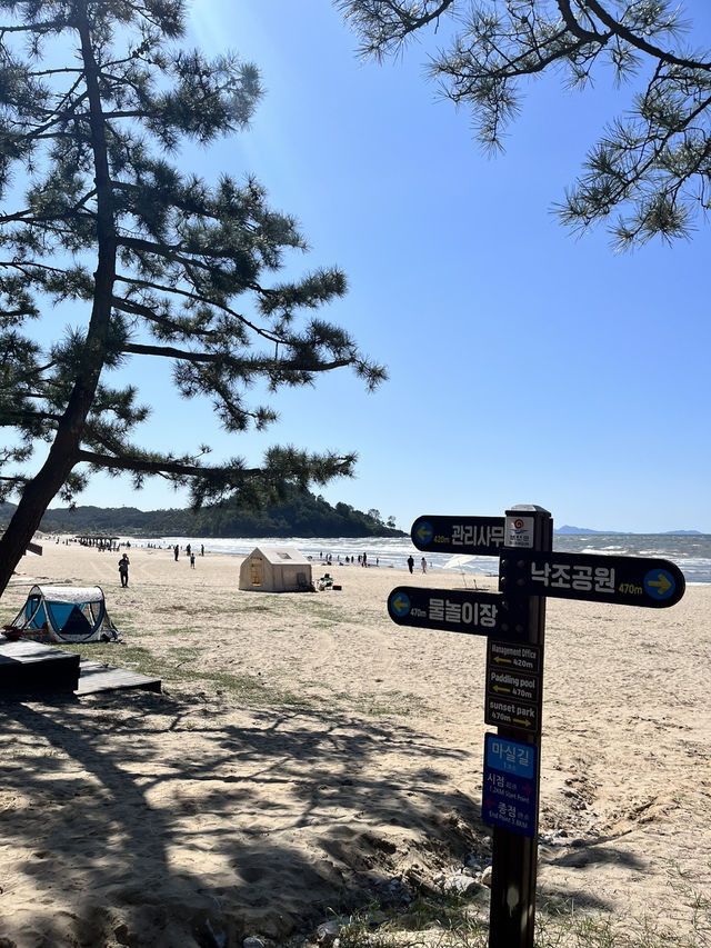 西海岸の3大 海水浴場 🏊🏻‍♀️🚣🏻‍♀️🏄🏻‍♂️