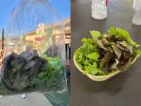 สวนผักลุงฤทธิ์ : ฟาร์มผักปลอดสารพิษ ร้านเด็ดเขาใหญ่