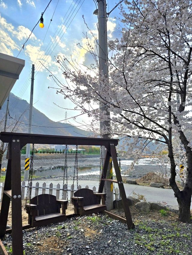 테라스벚꽃 포토존이 너무 예쁜 밀양카페🌸
