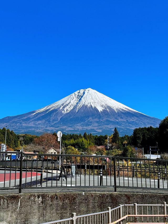 水のベールに包まれて。神秘の絶景、白糸ノ滝で心洗われるひととき