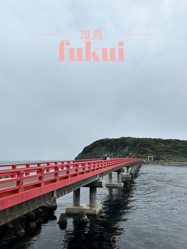 【福井×雄島】1300万年前の溶岩でできた島