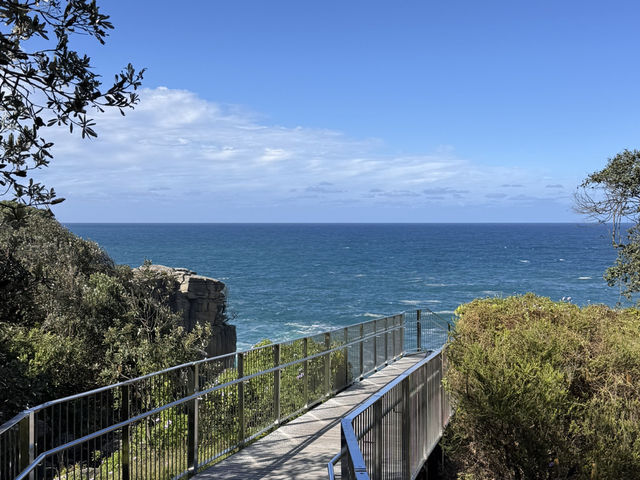 Trip in Sydney