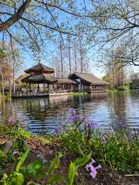 Maojiabu– Hangzhou's Rustic Waterfront Escape