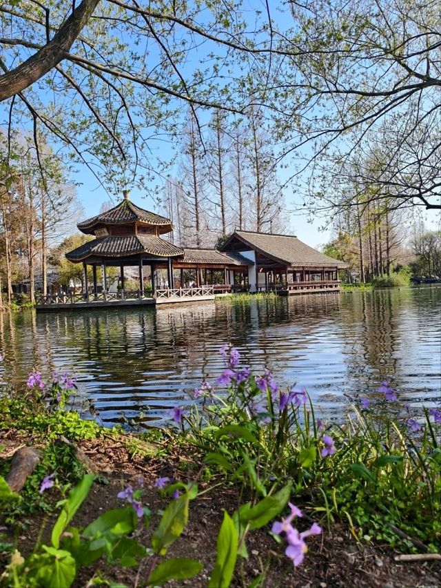 Maojiabu– Hangzhou's Rustic Waterfront Escape