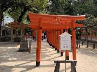 ⛩️ 스미요시 신사, 오래된 고요를 걷다
