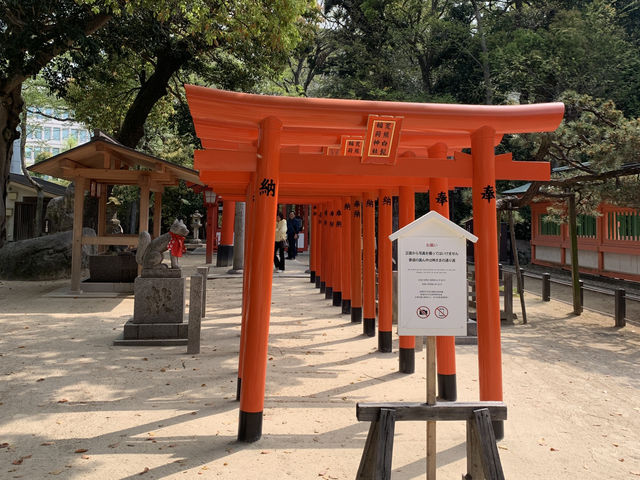 ⛩️ 스미요시 신사, 오래된 고요를 걷다