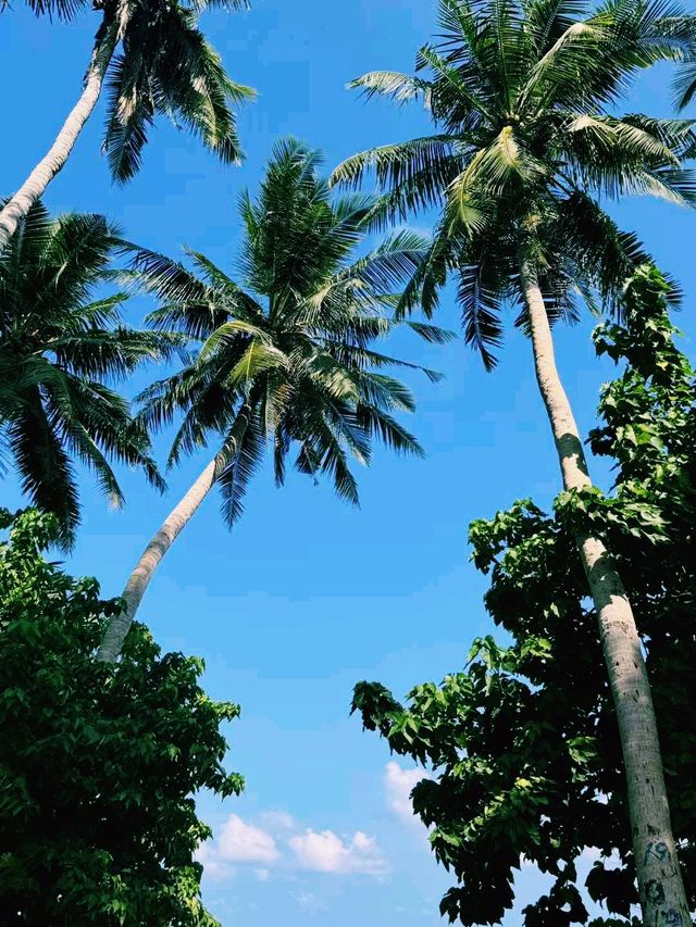 馬爾代夫著名旅遊度假海島🏝️：Fulidhoo island富利杜島，適合休閒度假拍照📸