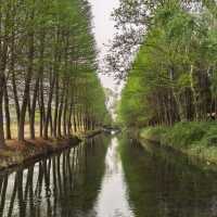 *Tiger Hill Wetland Park– Suzhou’s Urban Ecological Oasis