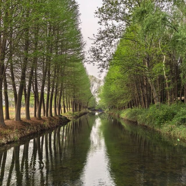 *Tiger Hill Wetland Park– Suzhou’s Urban Ecological Oasis