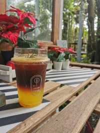 SIT UNDER TREE  Special Coffee & Home Roasters