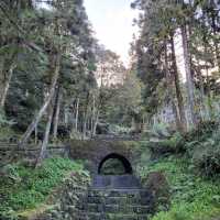 阿里山國家森林遊樂區 Alishan Forest Recreation Area