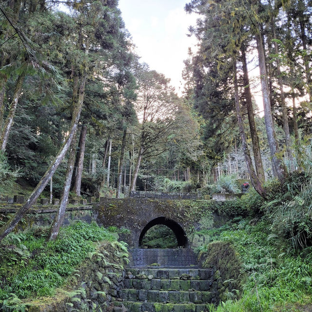 阿里山國家森林遊樂區 Alishan Forest Recreation Area